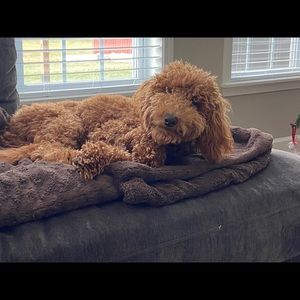 Meet your Posher, Chris